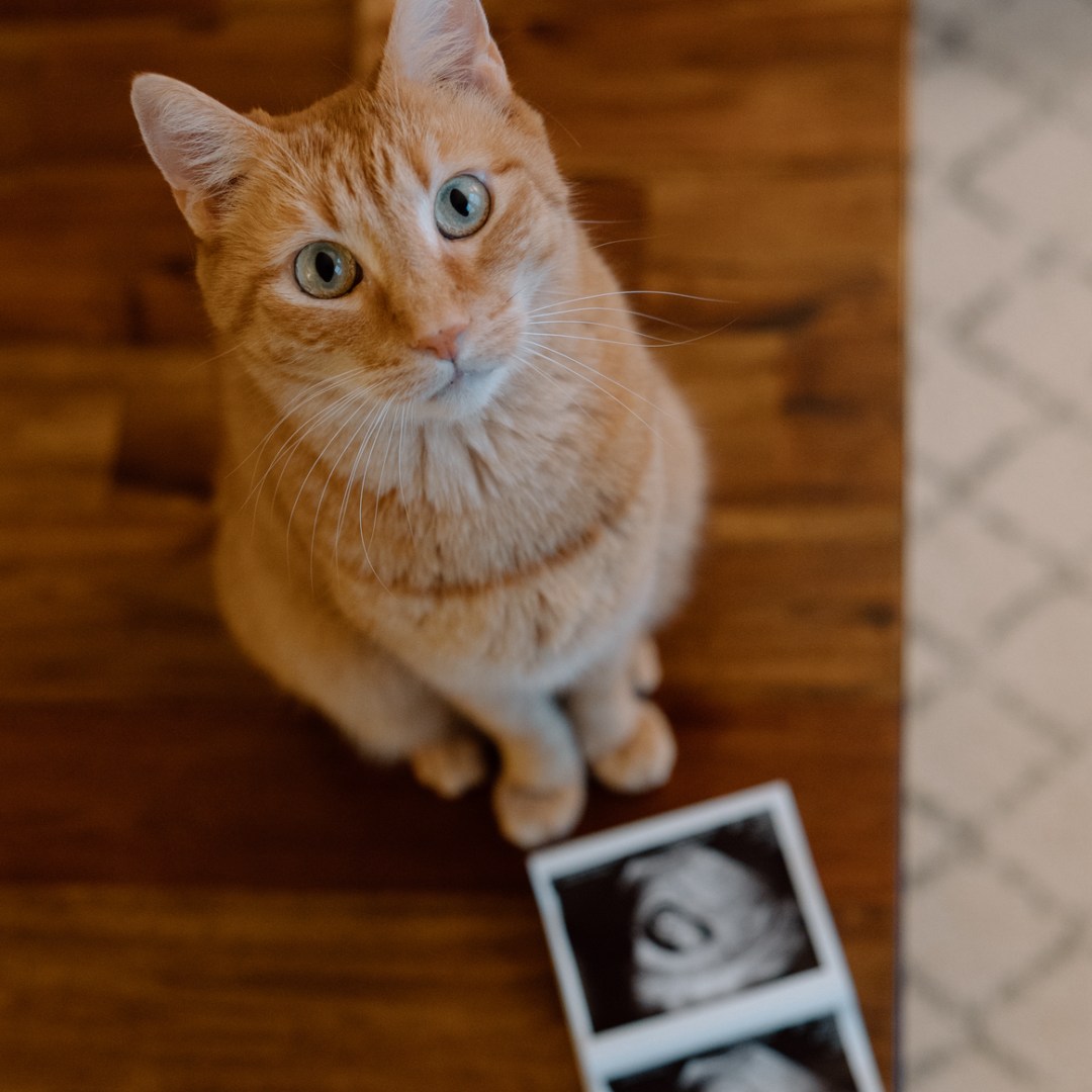 Photo shared by Sam for their Babylist baby registry.