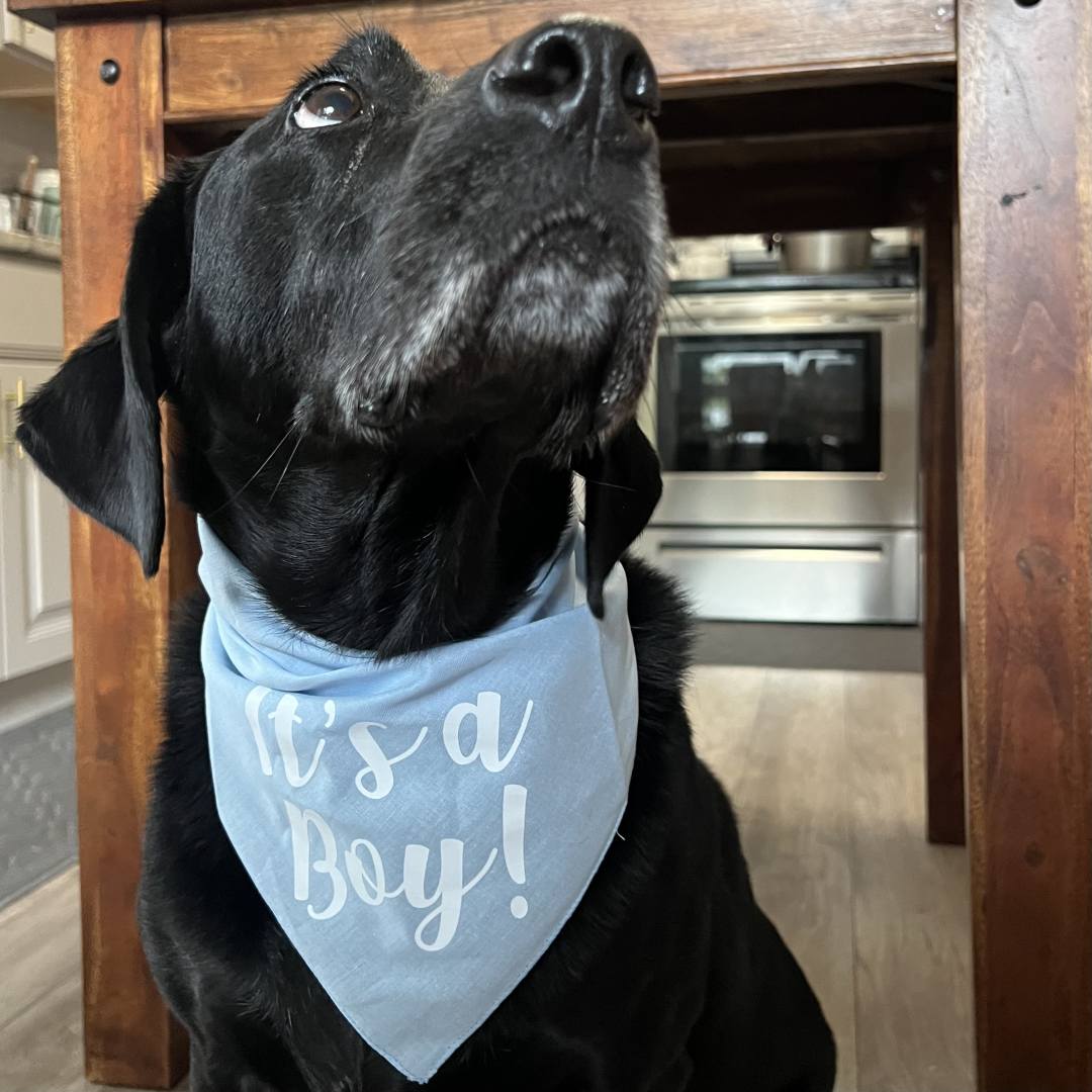 Photo shared by Caroline for their Babylist baby registry.