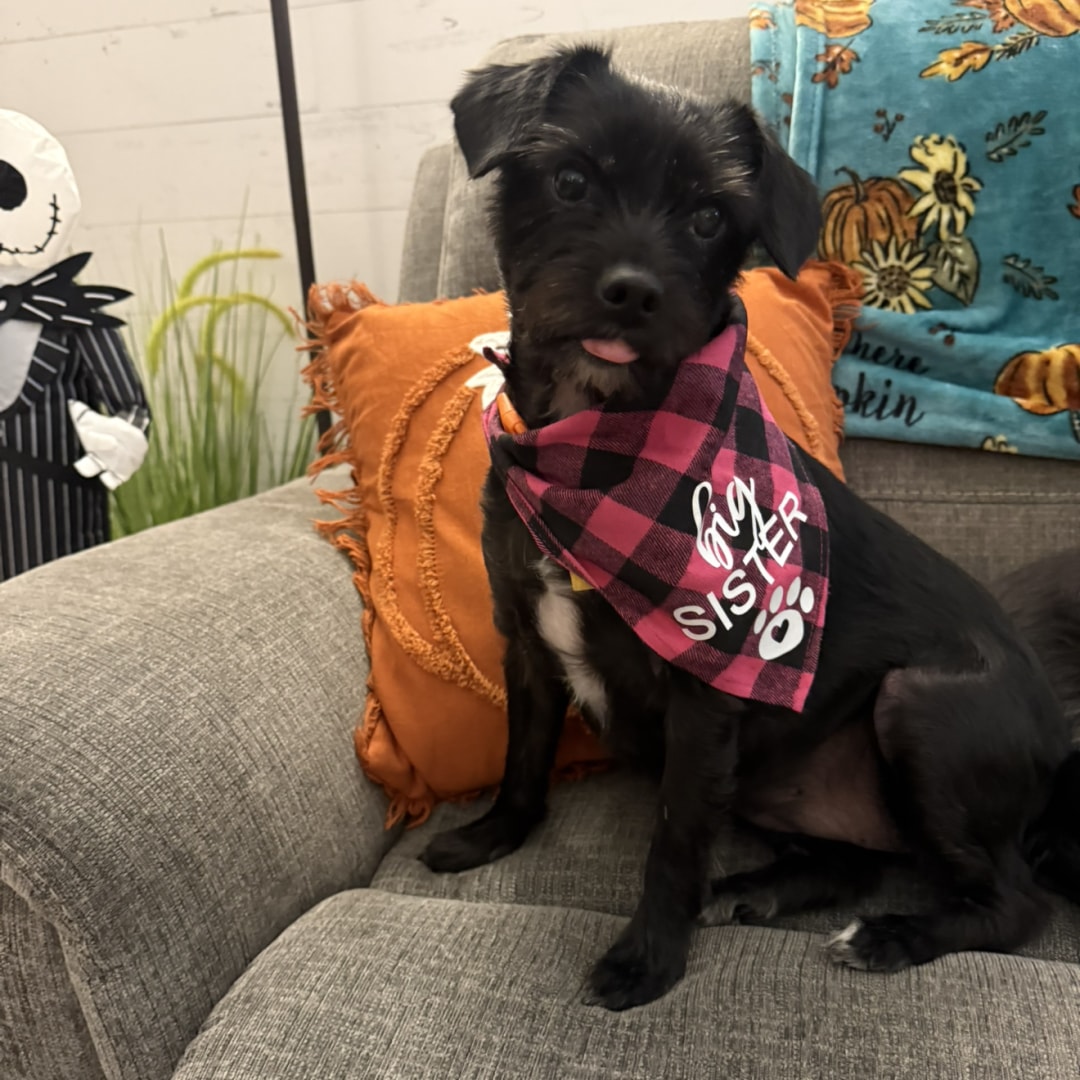 Photo shared by Madison for their Babylist baby registry.