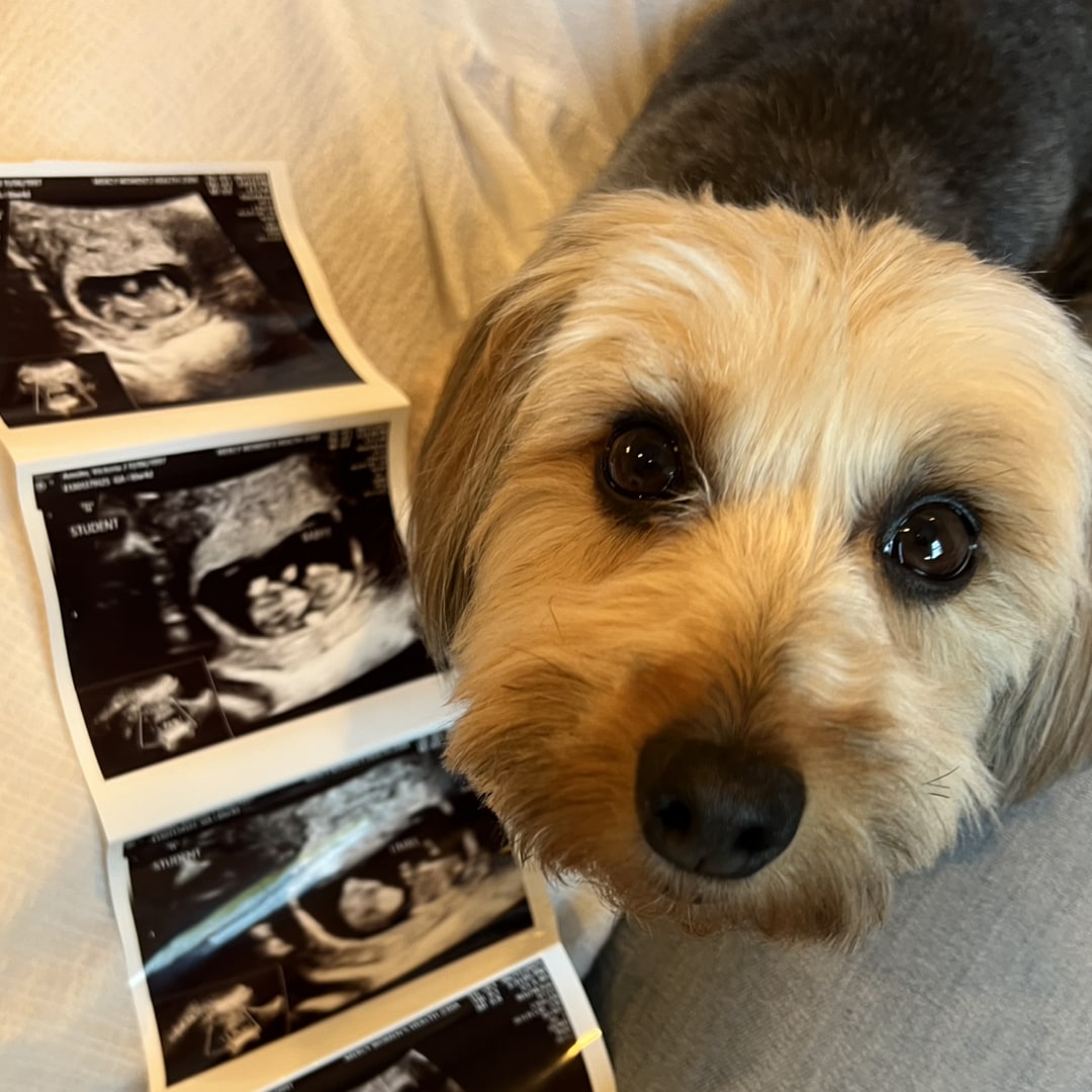 Photo shared by Victoria for their Babylist baby registry.