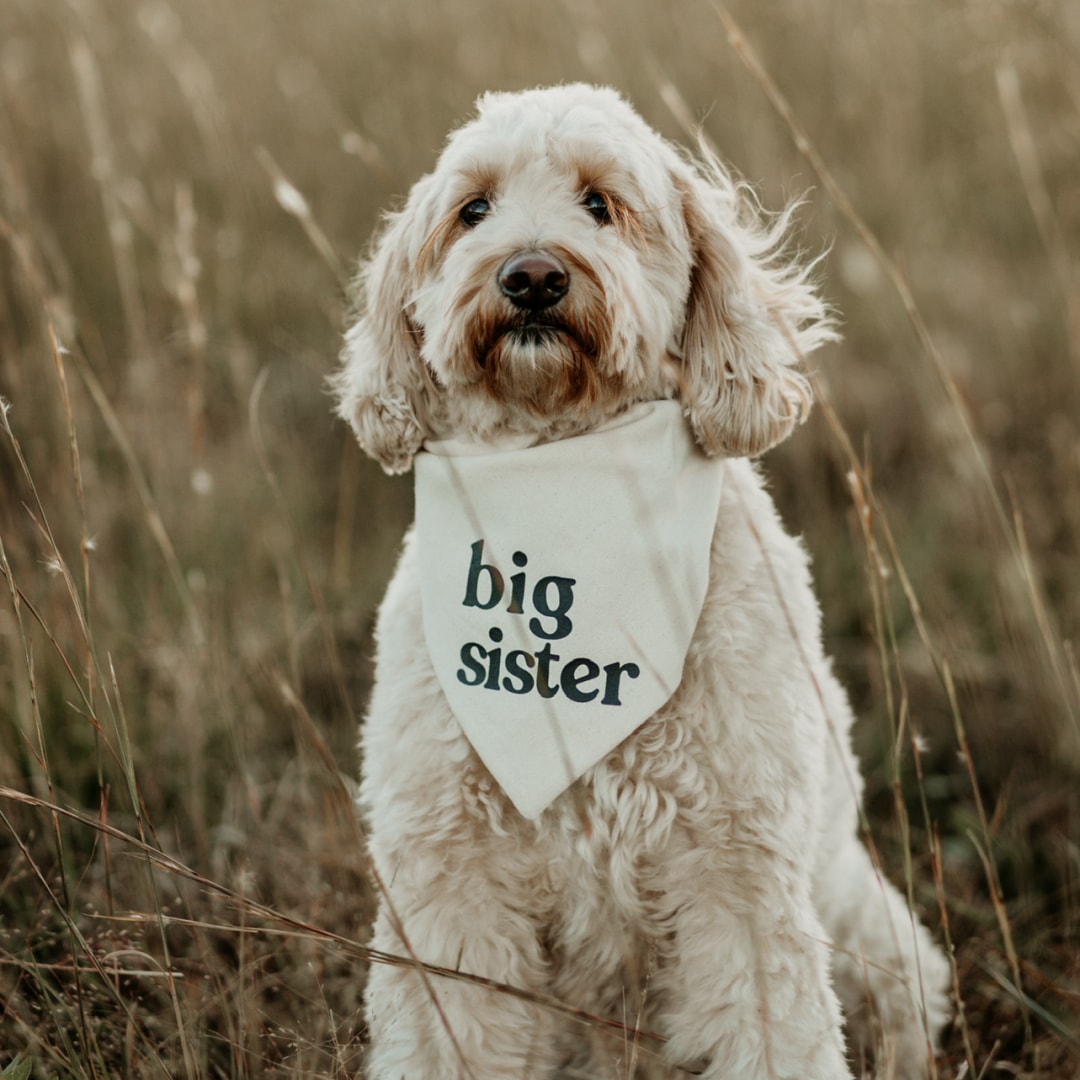 Photo shared by Kaitlin for their Babylist baby registry.