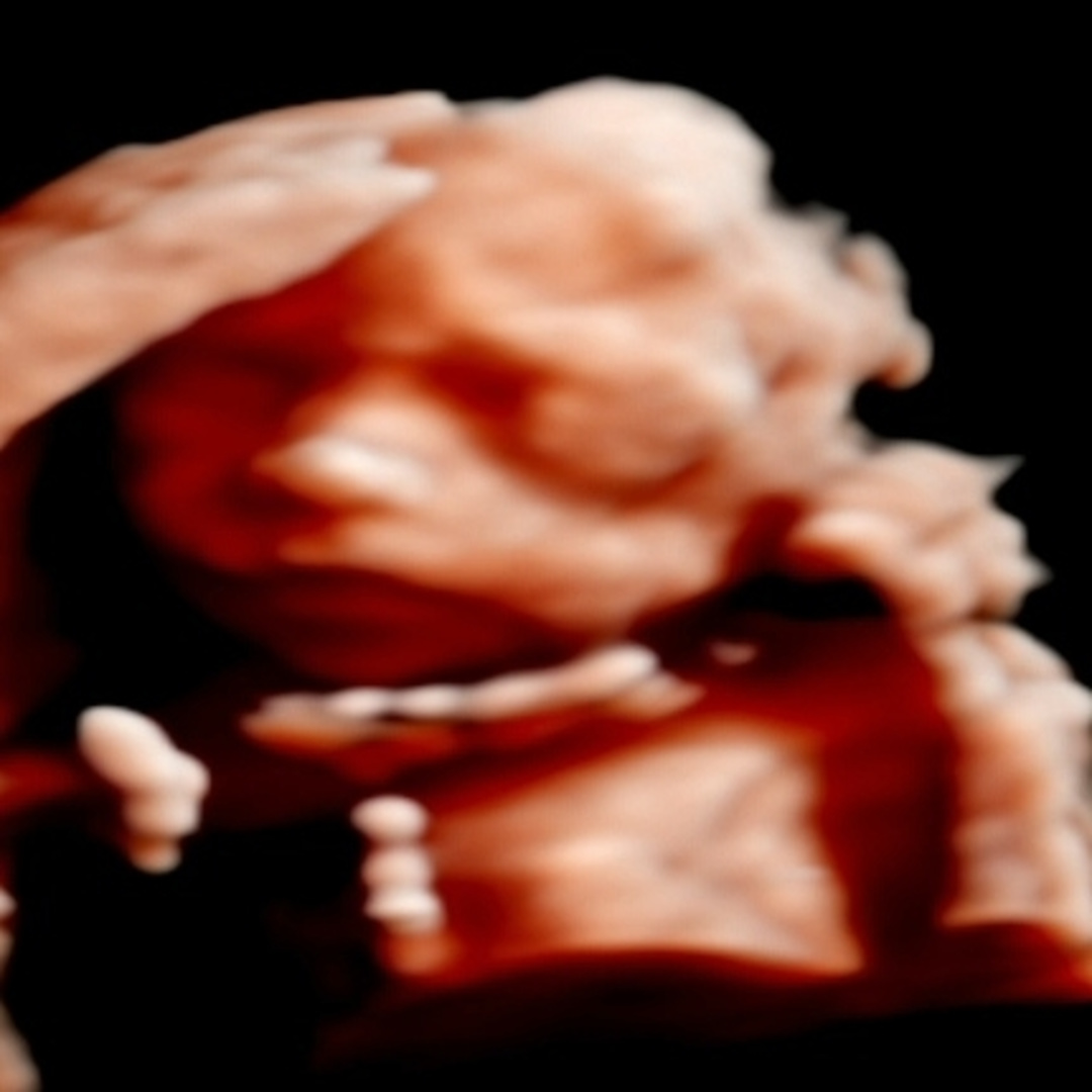 Photo shared by Alexa for their Babylist baby registry.