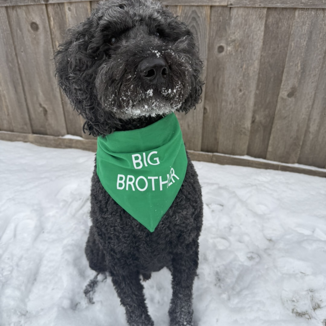 Photo shared by Morgan for their Babylist baby registry.