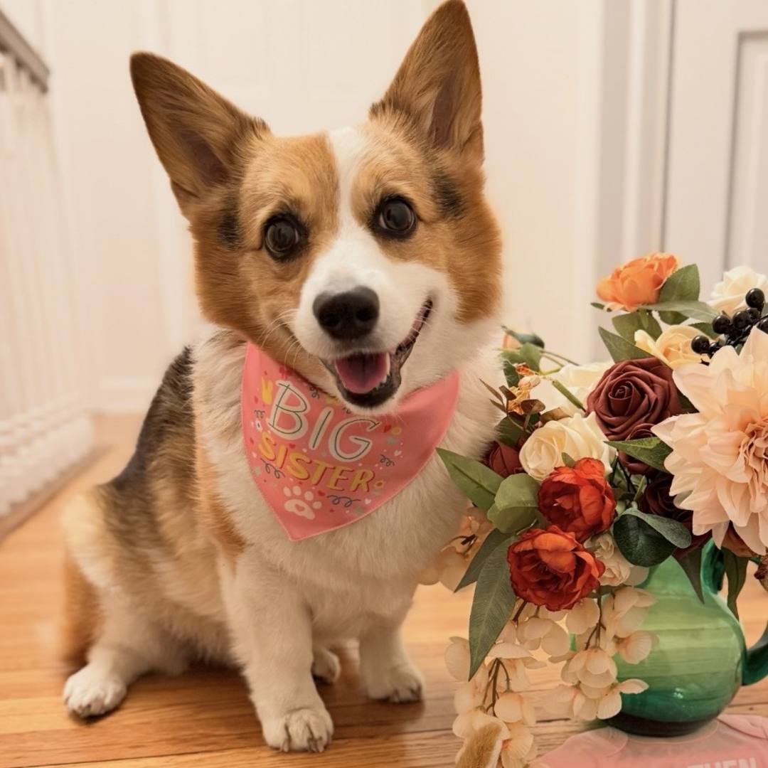 Photo shared by Claire for their Babylist baby registry.