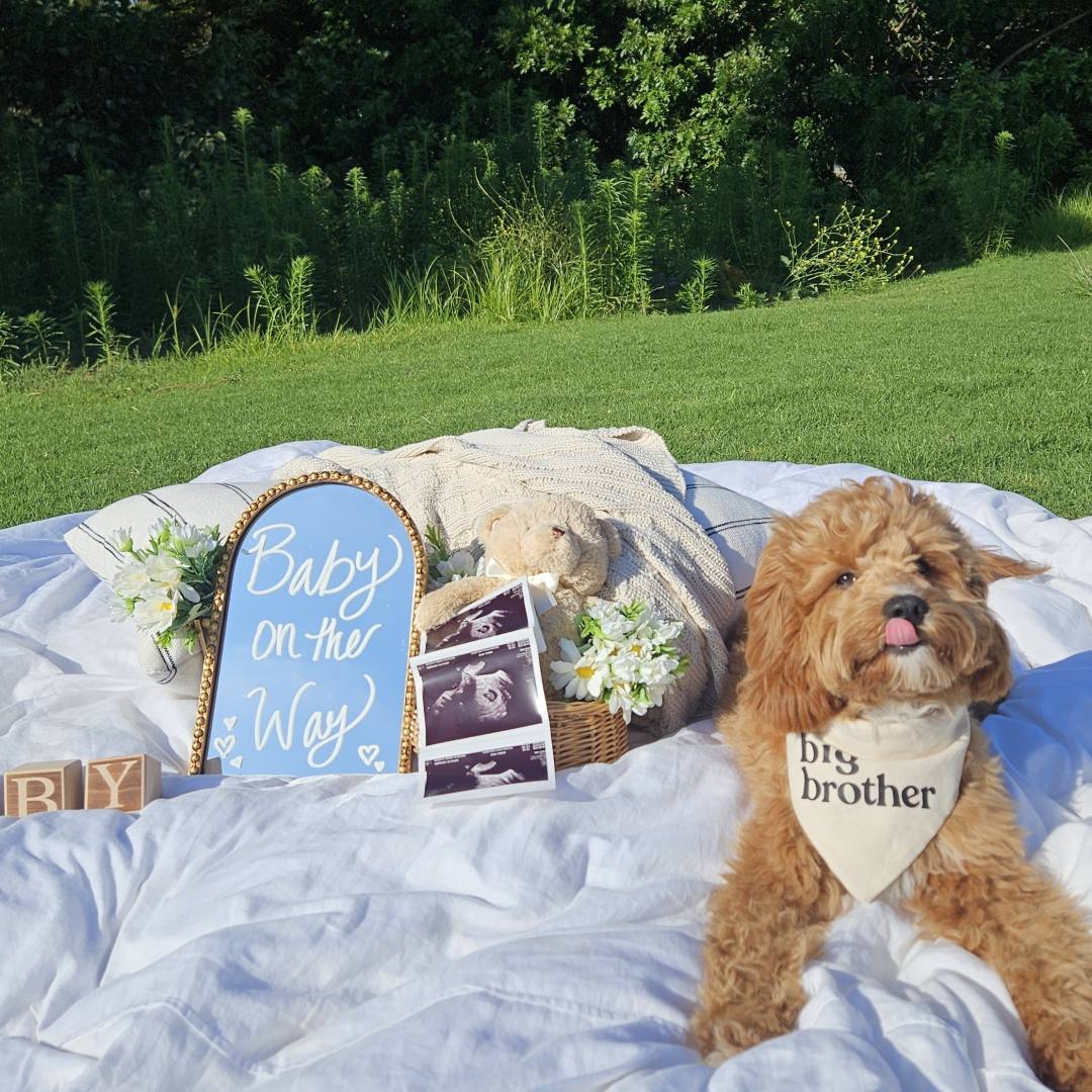 Photo shared by Karina for their Babylist baby registry.
