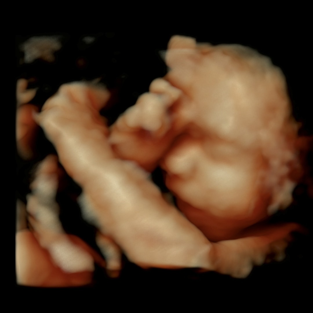 Photo shared by Brittney for their Babylist baby registry.