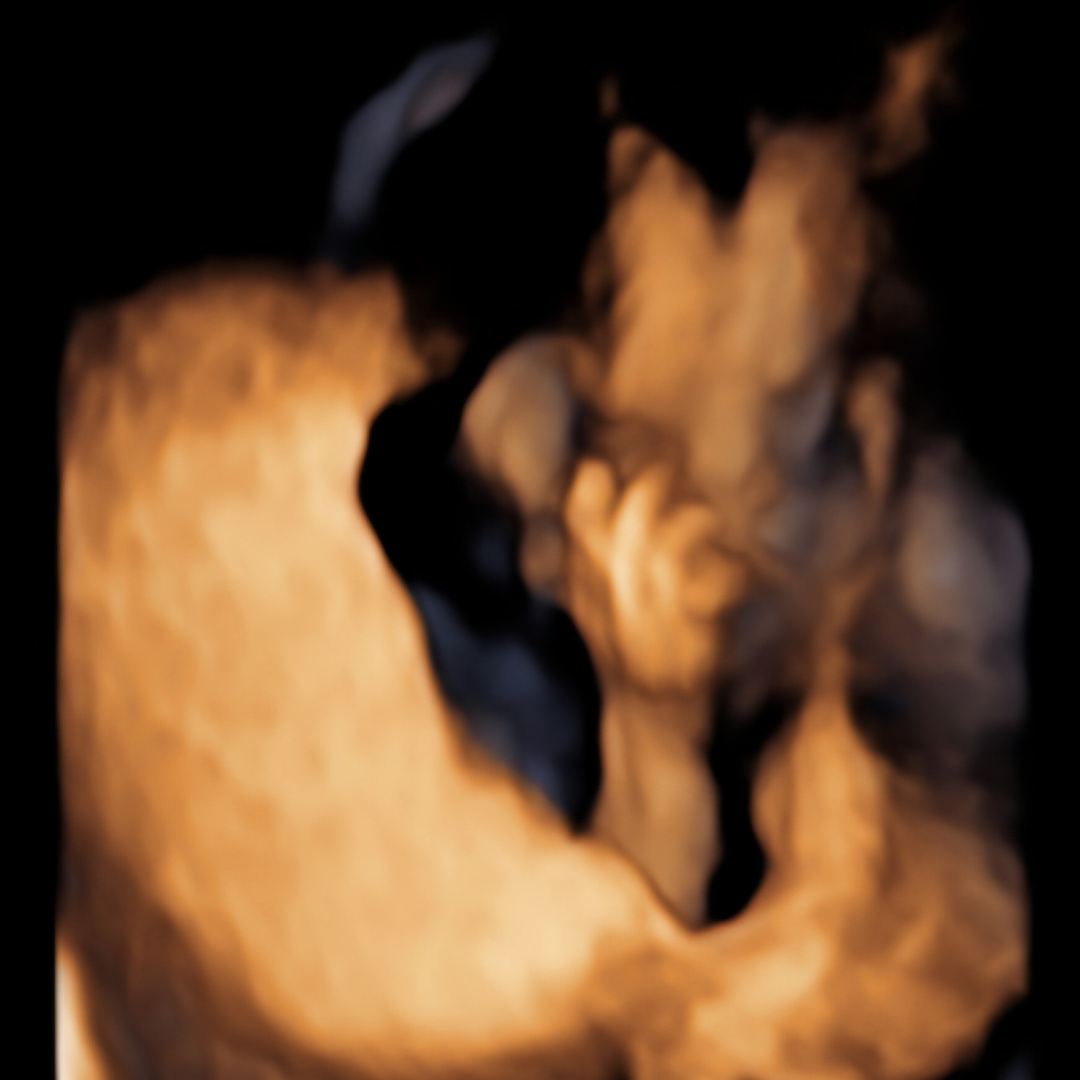 Photo shared by Sasha for their Babylist baby registry.