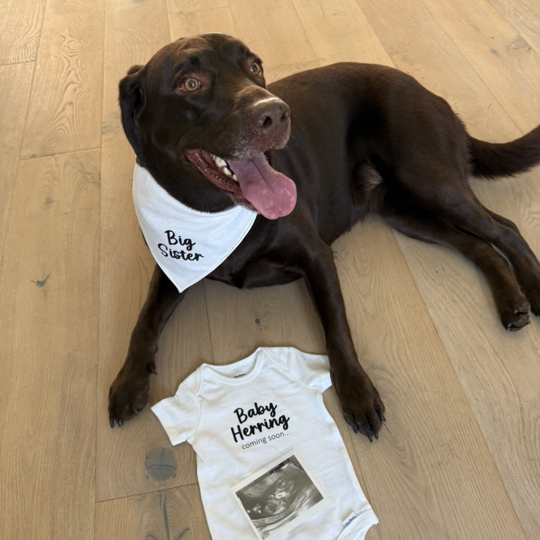 Photo shared by Kenlie for their Babylist baby registry.