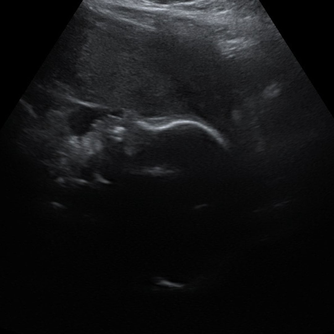 Photo shared by Julianna for their Babylist baby registry.