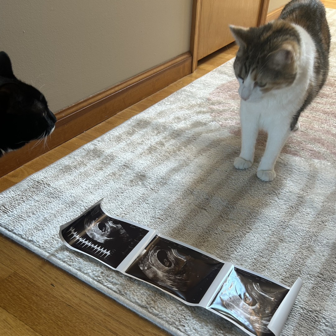 Photo shared by Ashley for their Babylist baby registry.