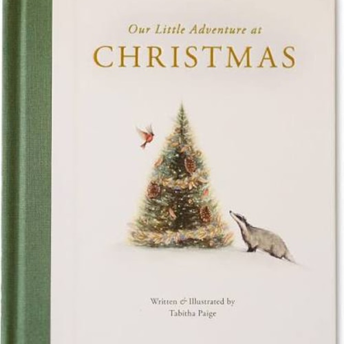 Our Little Adventure at Christmas: Featuring Foundational Language Concepts and Lessons on the Joy of Giving (Tabitha Paige Children's Book Series)