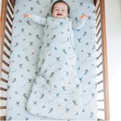 Sleep Bag in Ski 2.5