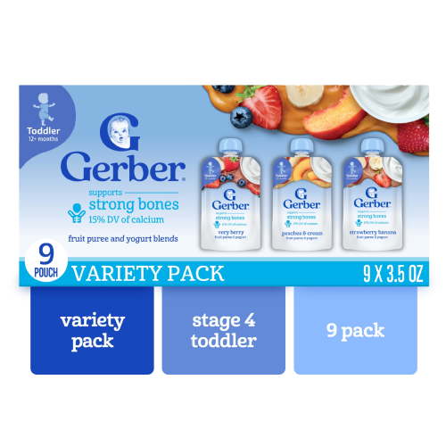 Gerber Toddler Food Fruit and Yogurt Smoothie Puree Variety Pack 3.5 oz Pouches