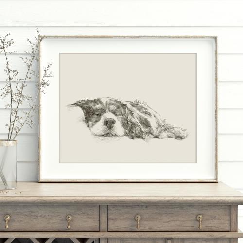 Cavalier King Charles Spaniel Art Print by Artist, Ethan Harper. Dog Drawing Wall Decor.