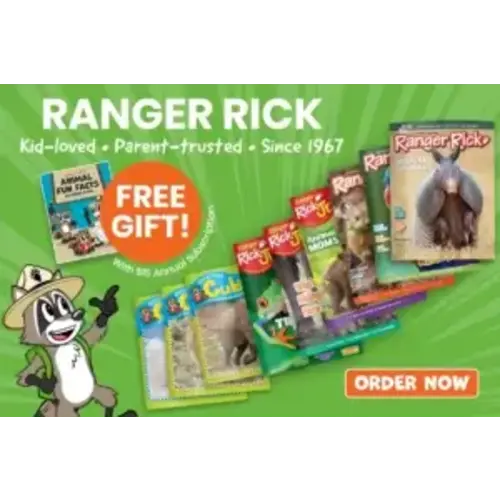 Ranger Rick Jr. Magazine | Nature Magazine for Ages 4-7
