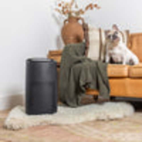 Sans Air Purifier for Pet Owners | Shop Now