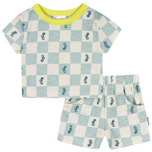 Gerber Baby Boys' Toddler T-shirt and Short Set