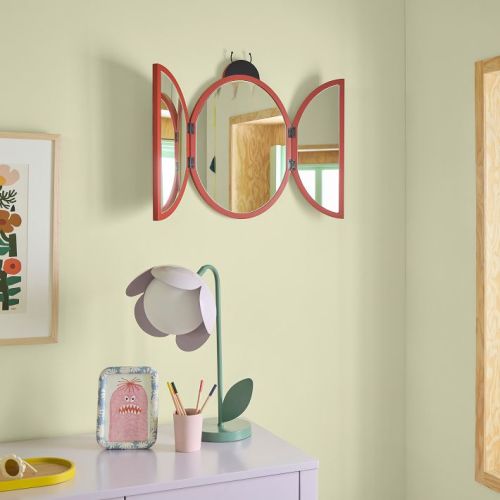 Lady Bug Mirror