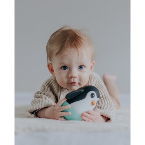 Jellystone Penguin Wobble Sensory Toy - Assorted