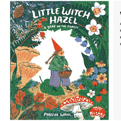 Little Witch Hazel: A Year in the Forest