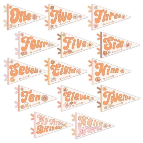 Lucy Darling Petit Milestone Pennants – Baby Monthly Milestone Pennant Flags – Newborn Photo Props & Felt Nursery Decor – Keepsake Banner Set for Baby Photos – Flower Child