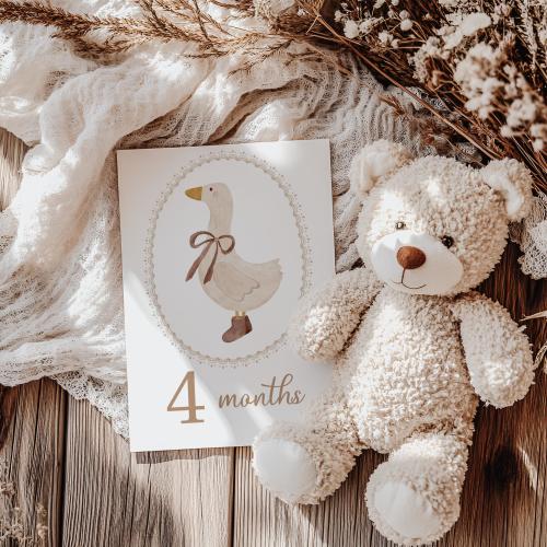 Printed Beige Baby Milestone Cards with Bows, Baby Monthly Milestone Keepsake Cards with a Goose and Rabbit, Baby Shower Gift, 2810