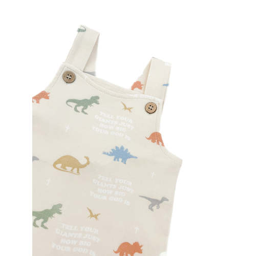 Tell Your Giants Dino Overalls – OUR HOUSE ABOVE