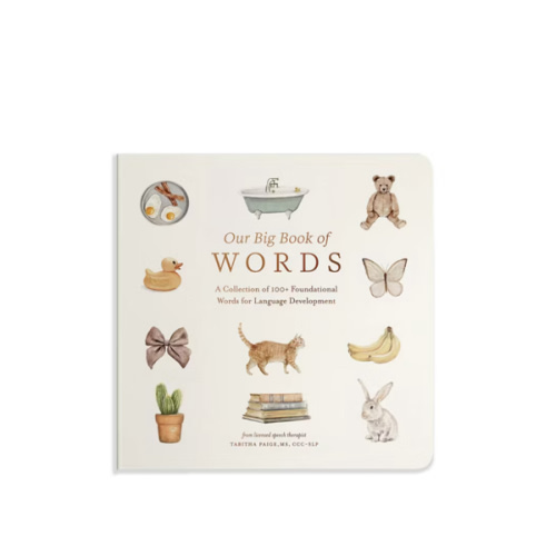 Our Big Book of First Words by Tabitha Paige (Board Book)