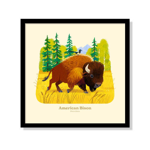 American Bison National Park Alphabet Print – Fifty-Nine Parks