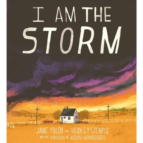 I Am the Storm