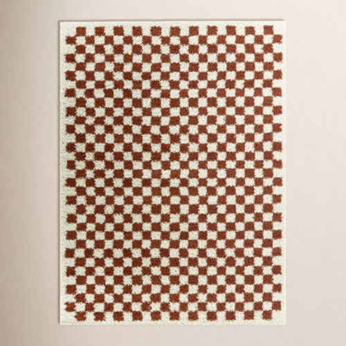 AllModern Walker Checkered Burnt Orange/Cream Shag Area Rug & Reviews | Wayfair