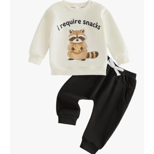 Baby Fall Outfit Sweatshirt Pants Cute Infant Clolthes Set | Newborn Long Sleeve Letter Print Tops Jogger Raccoon Clothing