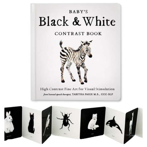 Our Little Adventures Baby's Black and White Contrast Book: High-Contrast Art for Visual Stimulation at Tummy Time, (Board Book)