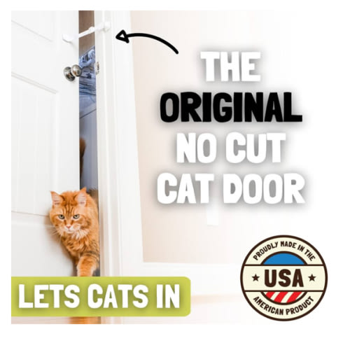 Door Buddy Child Proof Door Lock & Cat Door Stopper. Adjustable Door Strap Latch to Baby Proof Door & Keep Toddler out of Cat Food & Litter Box. Easy Pet & Baby Gate with Cat Door Interior Alternative