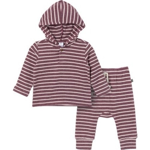 Hooded Brushed Hacci Top & Jogger Set, 3-6M