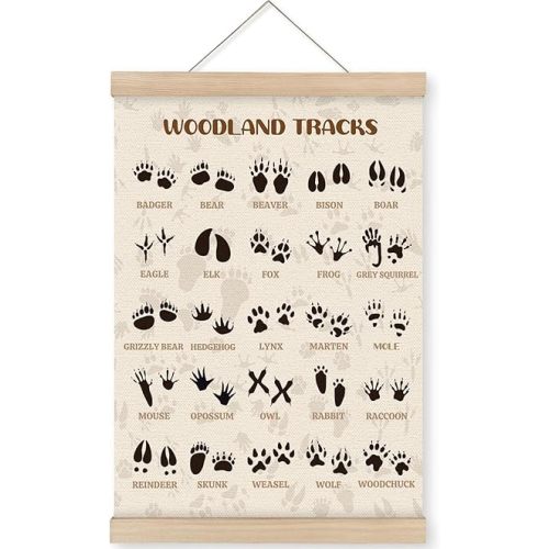 Animal Tracks Hanging Poster Frames, Woodland Nursery Wall Art Decor Hanging Banner, Animals Tracks Field Guide Sign, Forest Wall Art Decor, Wooden Posters Hanger for School Classroom 12x16 Inches