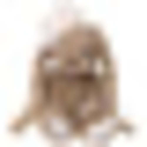 Gabrielle – Bukowski Bears