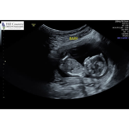 Babylist Shop Gift Card