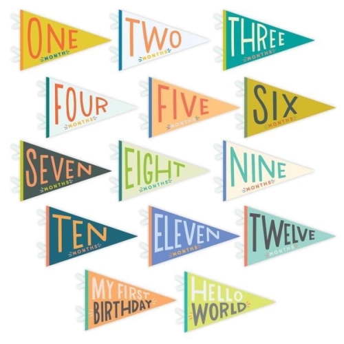 Lucy Darling Little Kaleidoscope Petit 14 Piece Monthly Baby Milestone Photo Prop Pennants - Unisex