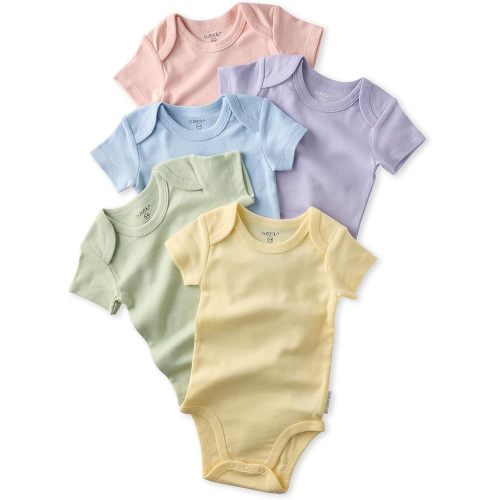 Butterblu Avery Multipack Short Sleeve Bodysuits 100% Organic Cotton