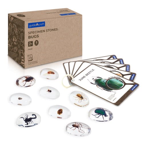 Specimen Stones – Guidecraft