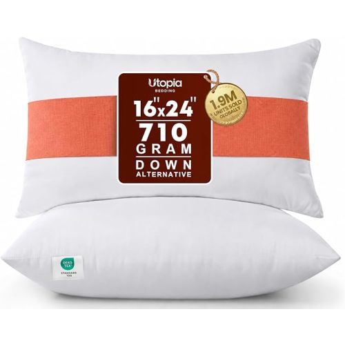 16x24 Pillow Inserts, Set of 2