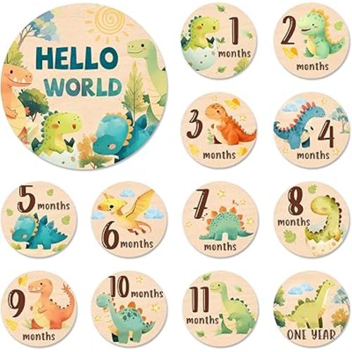 Baby Monthly Milestone Cards Sign - 13Pcs Double Sided Dinosaur Milestone Cards, Dino Pattern Wooden Circles Discs for Photo Props Newborn Announcement Marker, Baby Shower Newborn Sign Card Gift Set