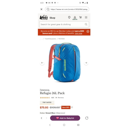 Patagonia Refugio 26L Pack | REI Co-op