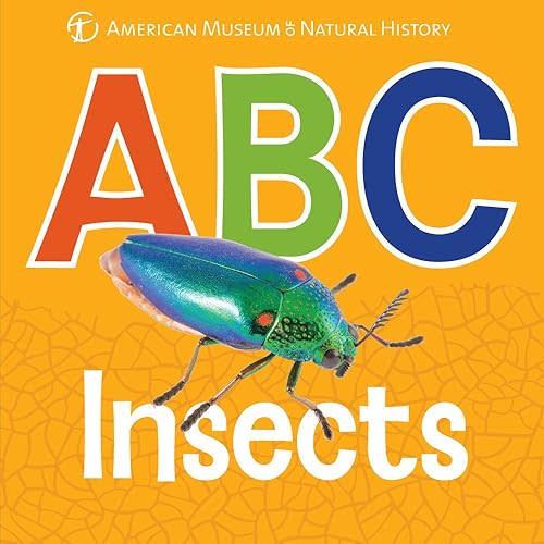 ABC Insects (AMNH ABC Board Books) Board book – September 2, 2014