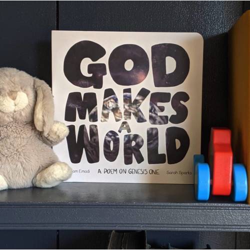 God Makes a World: A Poem on Genesis One