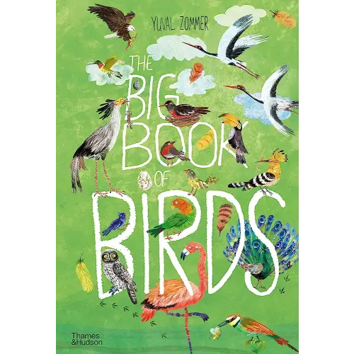 The Big Book of Birds