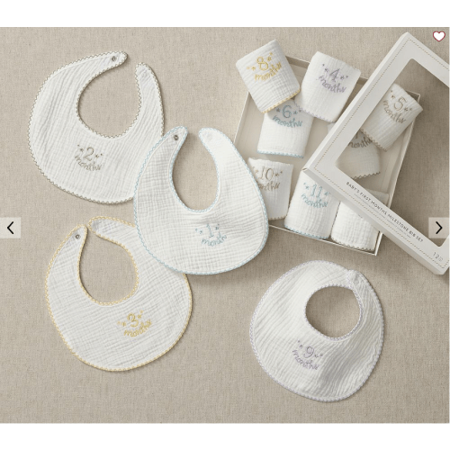 Baby's First Months Milestone Bib Set of 12