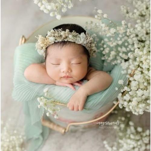 Newborn Photoshoot $750