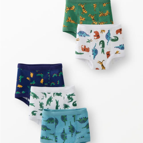 5-Pack Organic Cotton Training Underwear